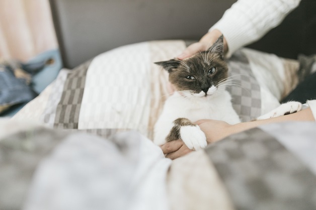 眠りたいのに寒過ぎて眠れない ナースの大事な睡眠を守る冬の救世主 湯たんぽ ナースときどき女子
