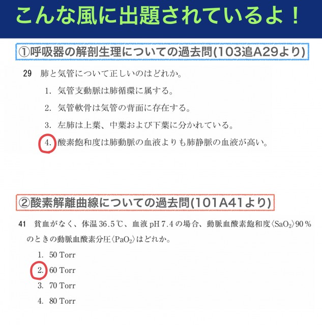 国試が不安な学生集まれ 2月14日まで一緒に勉強するよ 第1回は呼吸器編 メンズ看護学生vol 2 ナースときどき女子