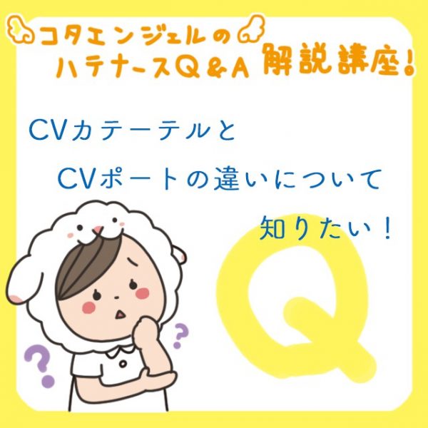 Cvカテーテルとcvポート どう違うの それぞれの適応 メリット デメリットを解説 コタエンジェルのハテナース解説講座 Vol 26 レバウェル看護 お役立ち情報