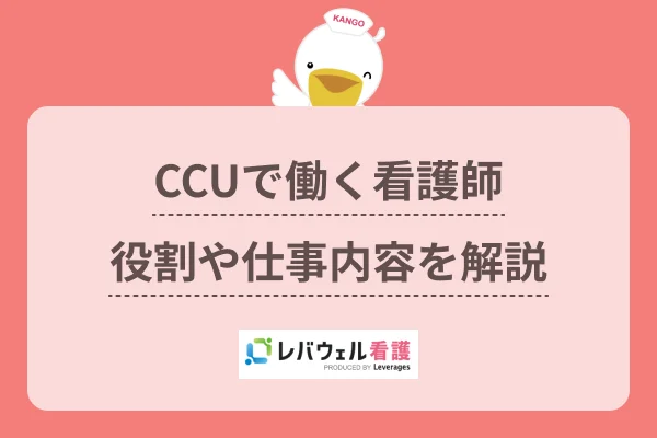 ccu 看護  に対する記事の画像