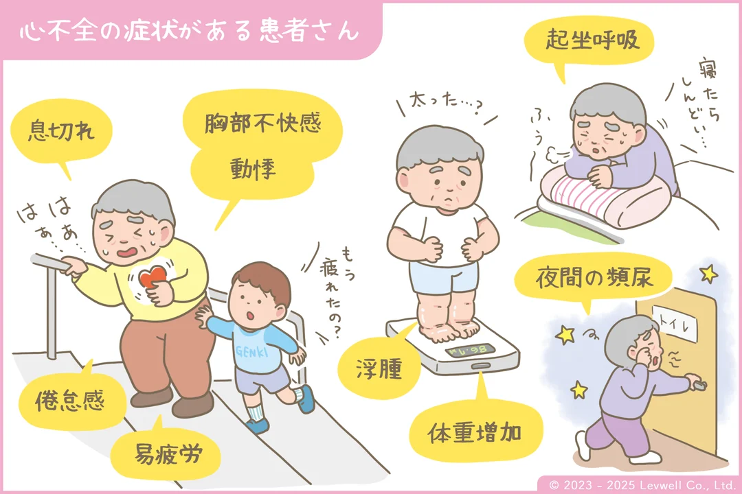 心不全の症状の解説イラスト