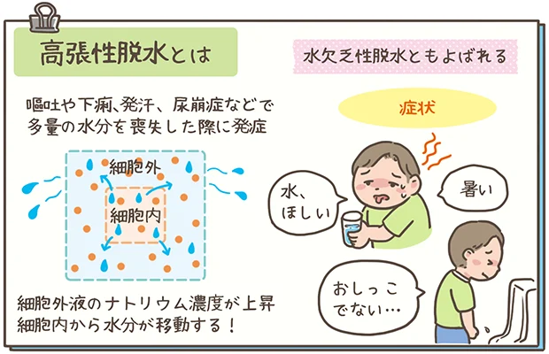 高張性脱水の解説イラスト