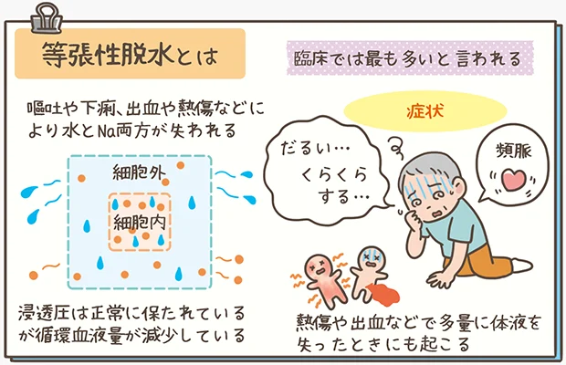 等張性脱水の解説イラスト