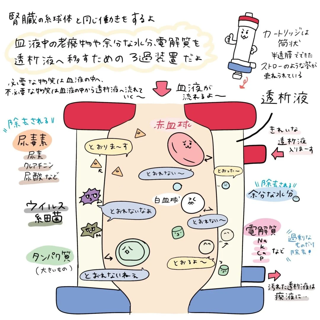 ダイアライザーについてのイラスト
