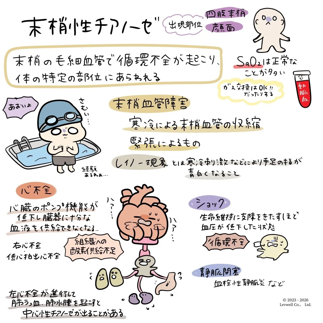 末梢性チアノーゼについてのイラスト
