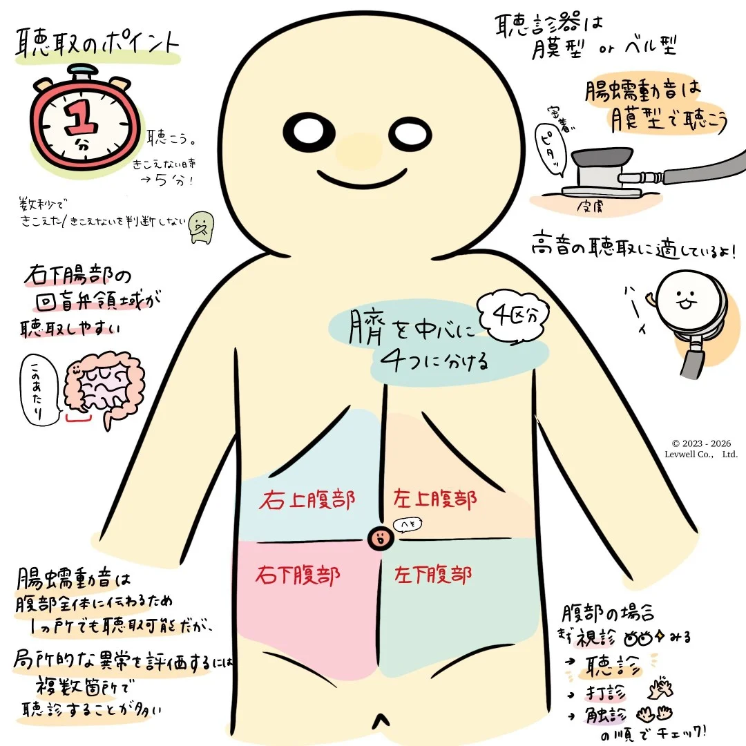 腸 蠕動 音