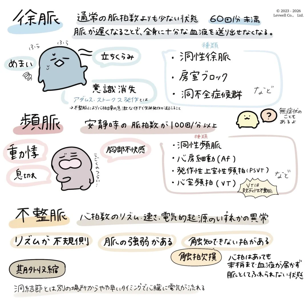 脈拍異常の種類と症状についてのイラスト