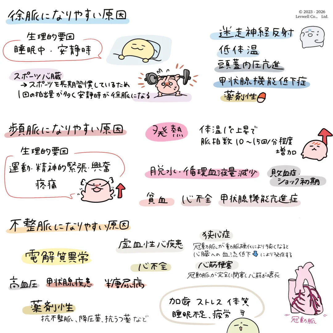 脈拍異常になりやすい原因についての解説イラスト