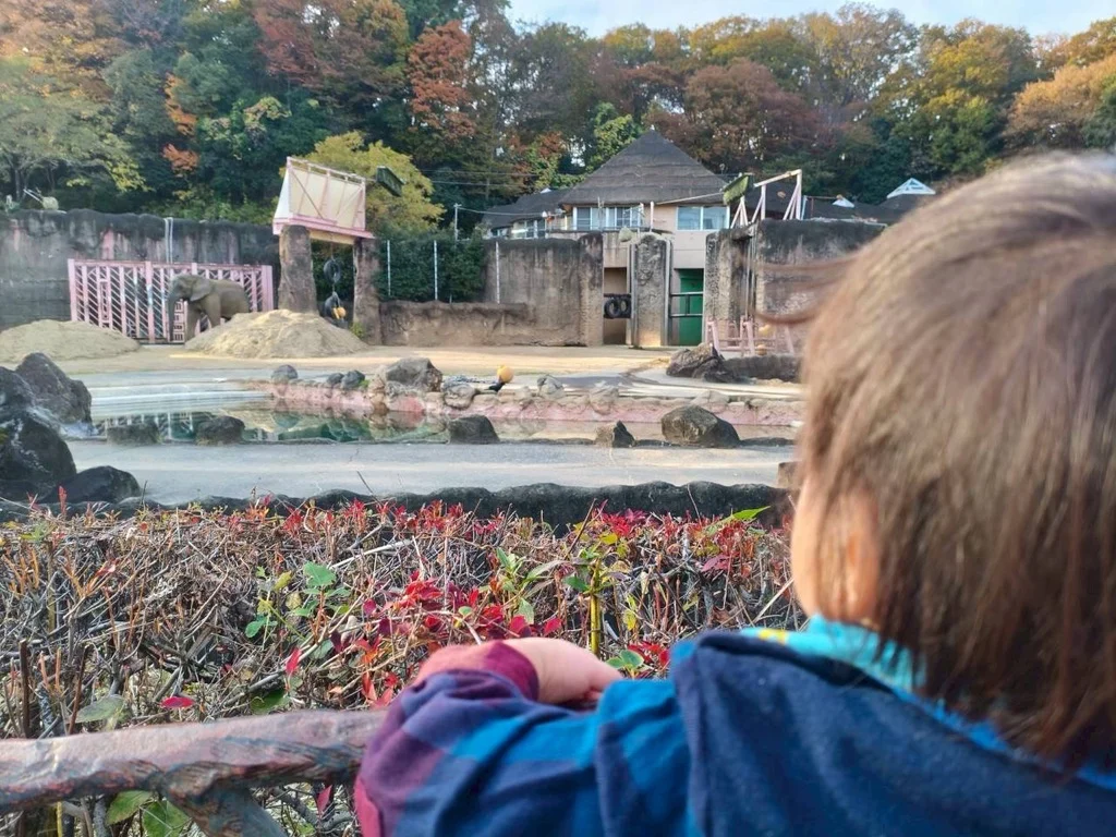 休日は家族で動物園へ。家族時間が充実できているのも「働き方」を見直したおかげ。