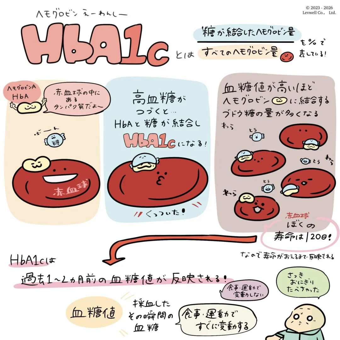 HbA1cについての解説イラスト